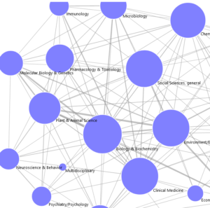 Lodex Graphe Reseau 300x297